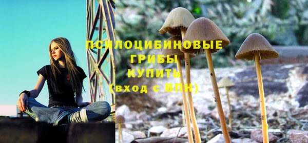 бутират Алексеевка