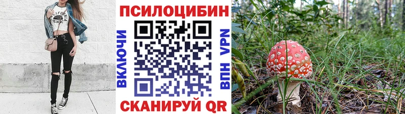 Псилоцибиновые грибы Psilocybe  Октябрьск 